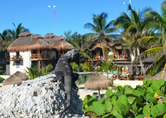 Hotel Piedra Escondida Tulum
